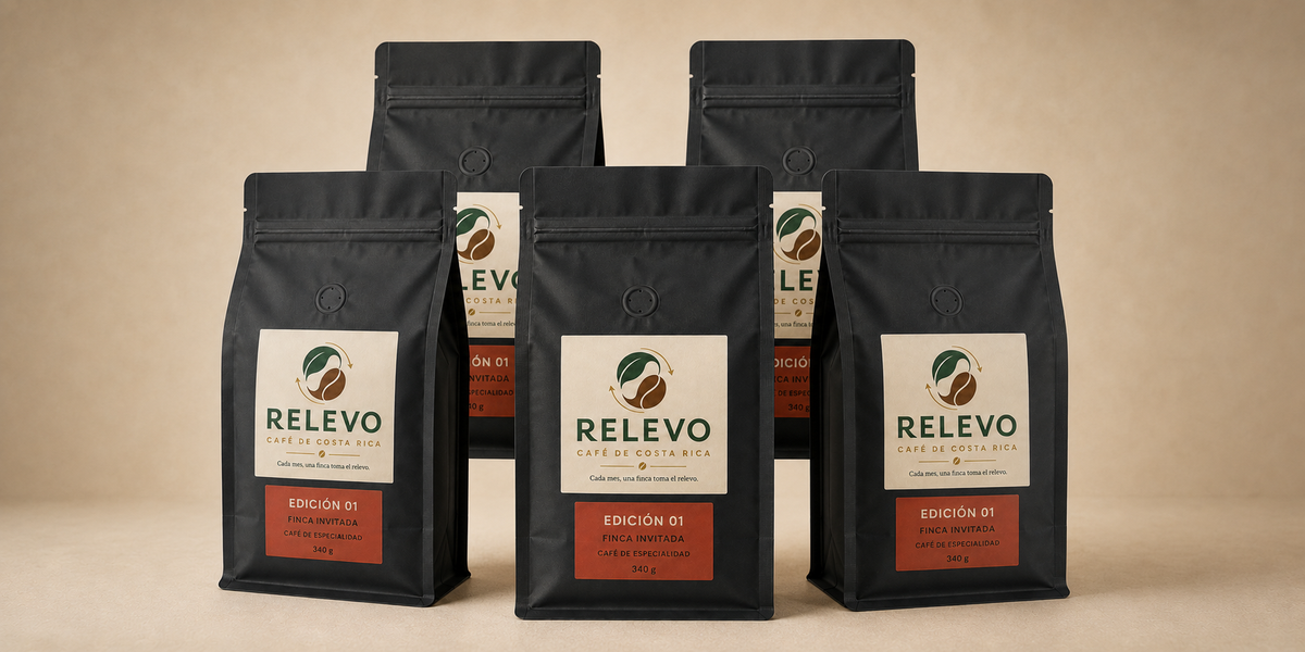 Set mensual de 5 bolsas Relevo